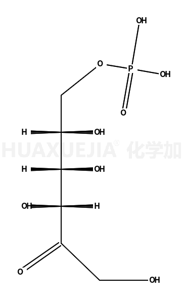 果糖-6-磷酸