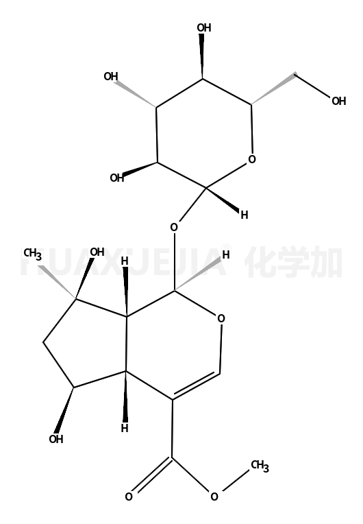 山栀苷甲酯