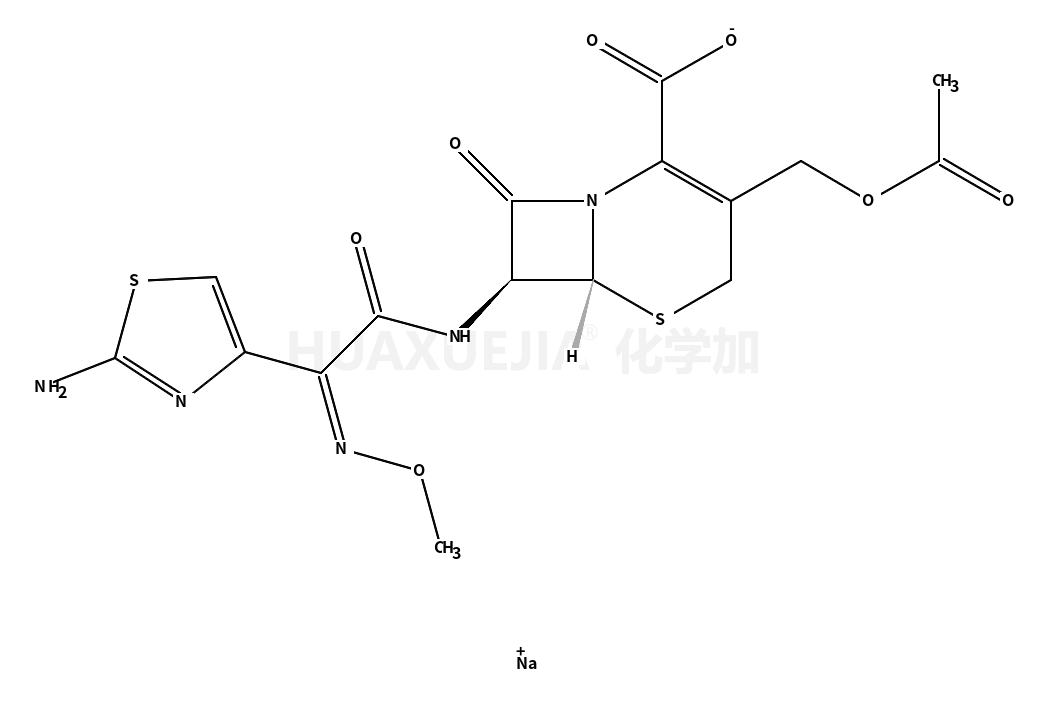 头孢噻肟钠
