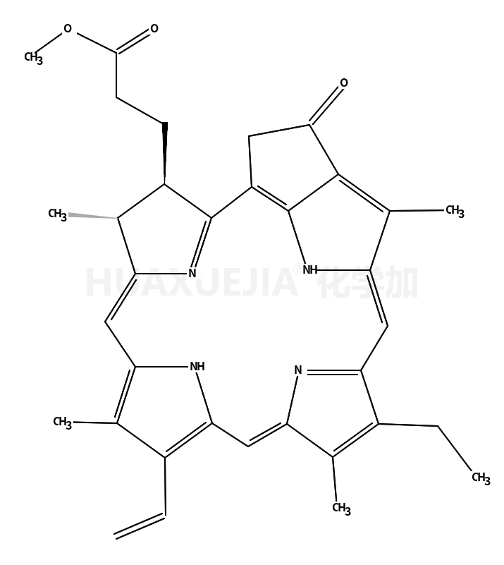 焦脱镁叶绿酸Alpha甲酯