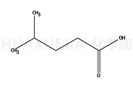 isocaproic acid