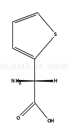 (R)-2-(2-噻吩基)-甘氨酸