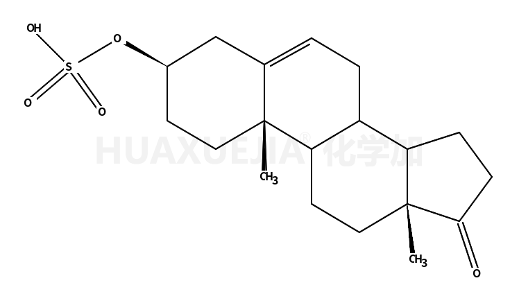 dehydroepiandrosterone sulfate
