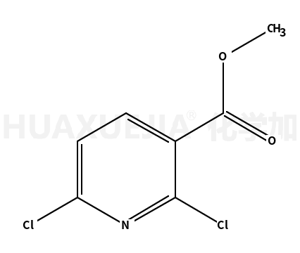2,6-二氯吡啶-3-羧酸甲酯