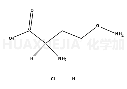 2-氨基-4-(氨基氧基)丁酸二盐酸盐