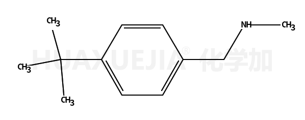 N-(4-叔丁基苄基)-n-甲胺