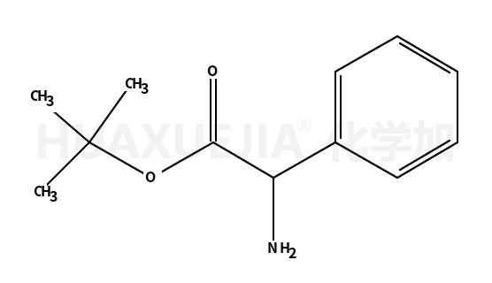 D-苯甘氨酸叔丁酯盐酸盐