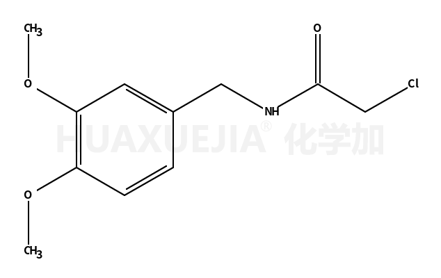 2-氯-n-(3,4-二甲氧基苄基)乙酰胺