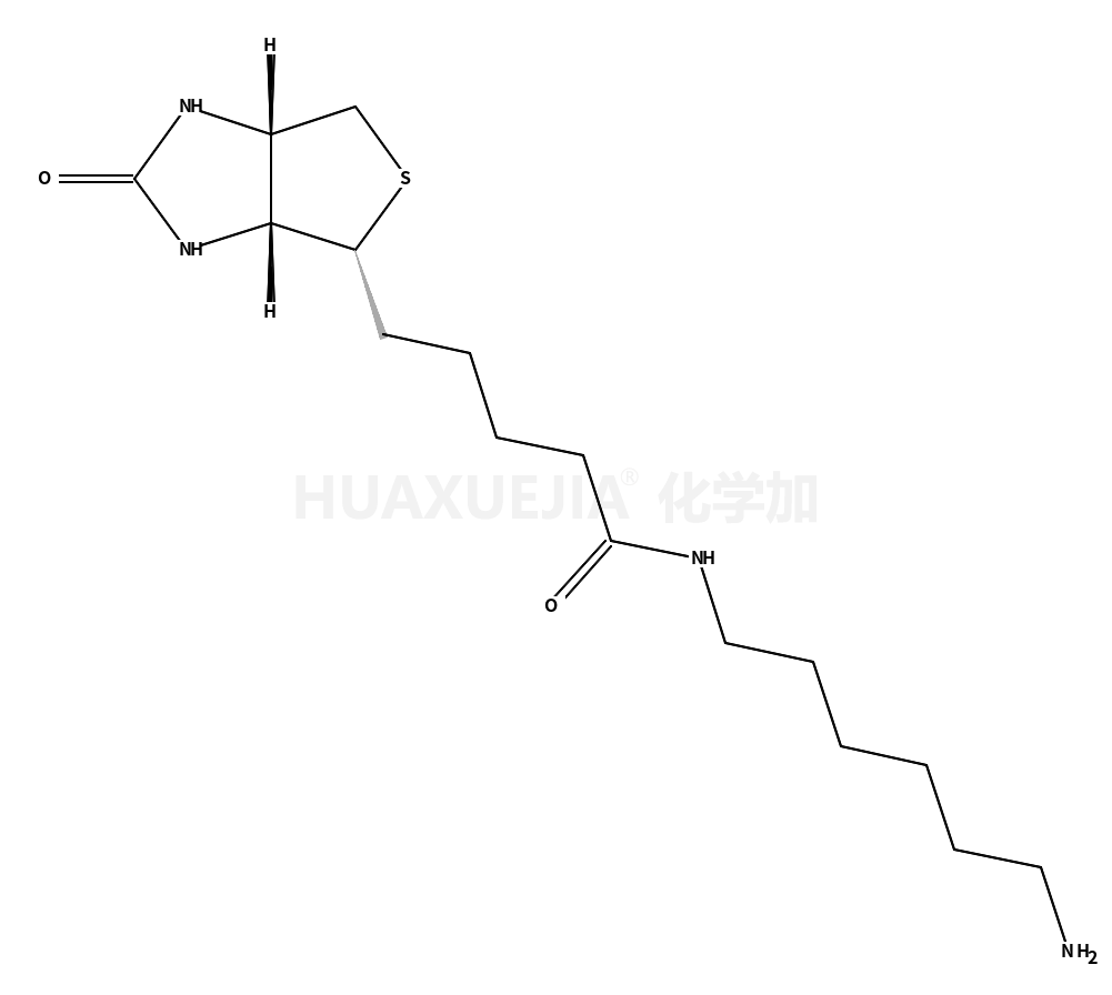 Biotin-1.6已二胺