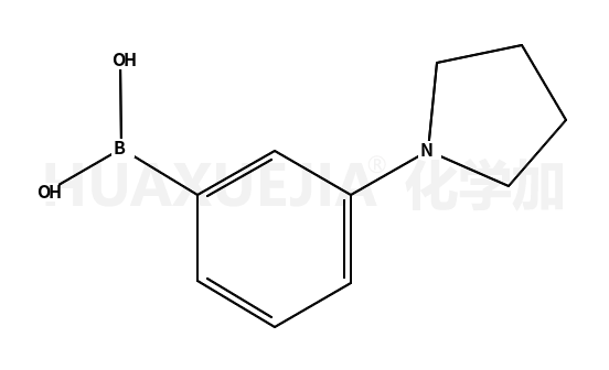 3-吡咯烷苯硼酸