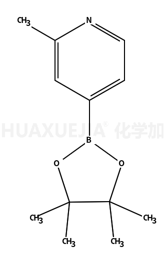 2-甲基吡啶-4-硼酸频哪酯