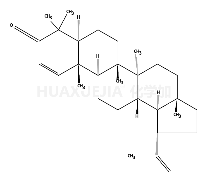 算盘子酮