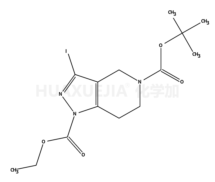 5-叔丁基 1-乙基 3-碘-6,7-二氢-4H-吡唑并[4,3-c]吡啶-1,5-二羧酸