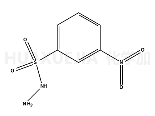 2-硝基苯磺酰肼