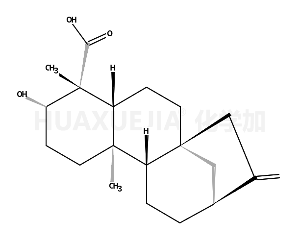 ent-3β-Hydroxykaur-16-en-19-oic