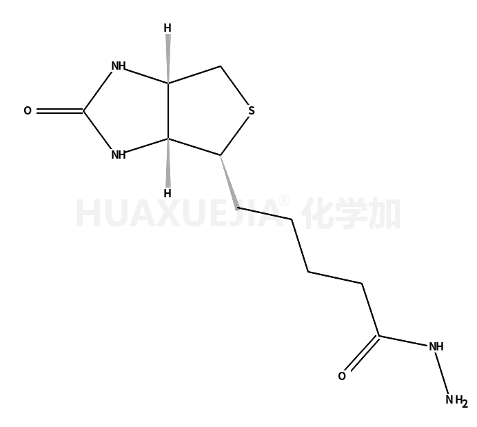 D-生物素酰肼