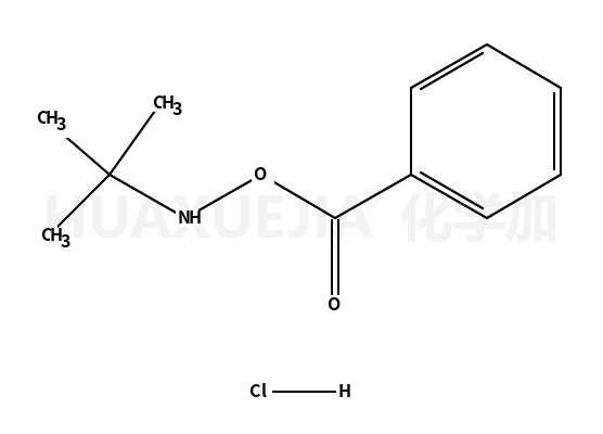 O-苯甲酰基-N-叔丁基羟胺盐酸盐
