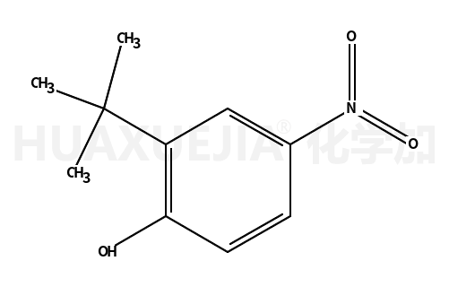 2-叔丁基-4-硝基苯酚