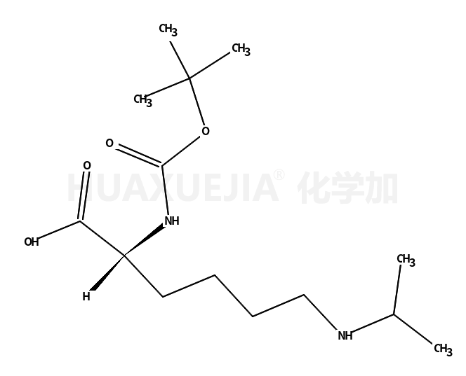 N-A-BOC-N-异丙基-L-赖氨酸
