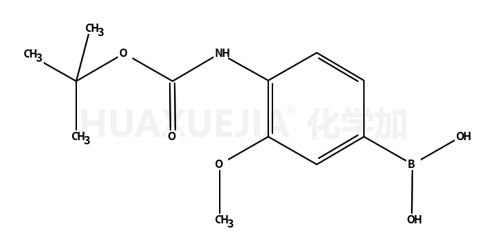 4-N-叔丁氧羰基氨基-3-甲氧基苯硼酸