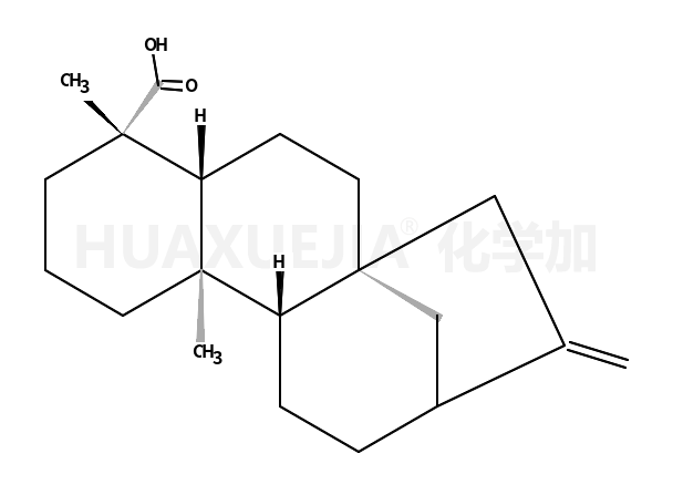 Kaurenoic acid