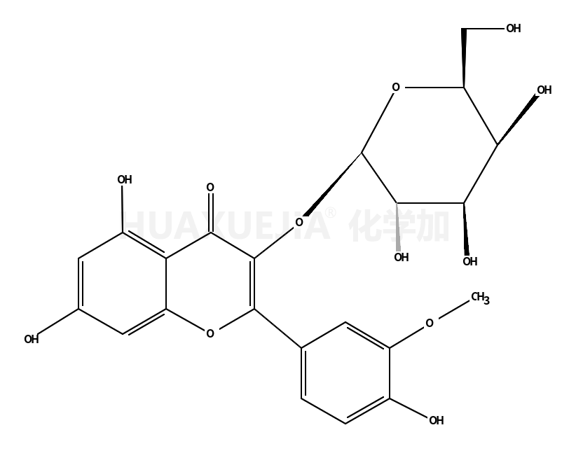 异鼠李素 3-O-半乳糖苷