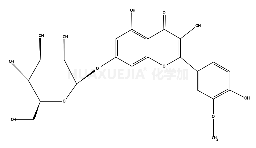 isorhamnetin 7-O-β-D-glucopyranoside