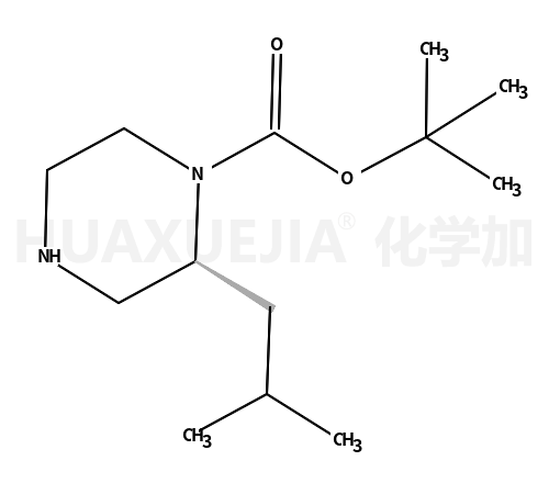(S)-1-Boc-2-异丁基哌嗪