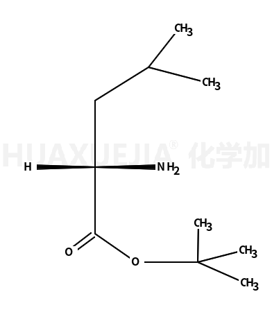 D-亮氨酸叔丁酯盐酸盐