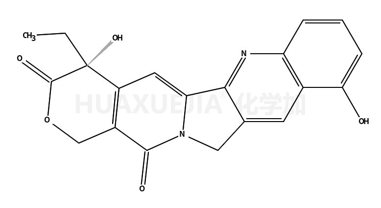 10-羟基喜树碱