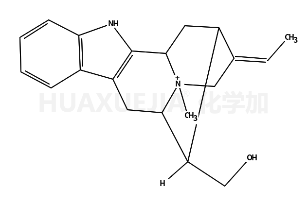 MACUSINE B