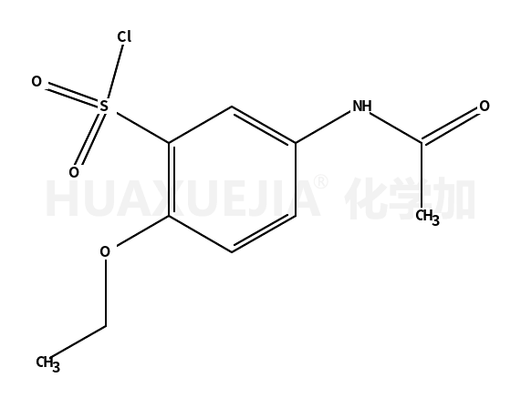 5-乙酰氨基-2-乙氧基苯磺酰氯