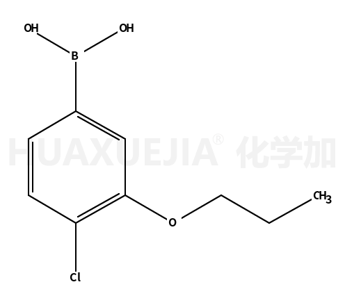 4-氯-3-丙氧基苯硼酸