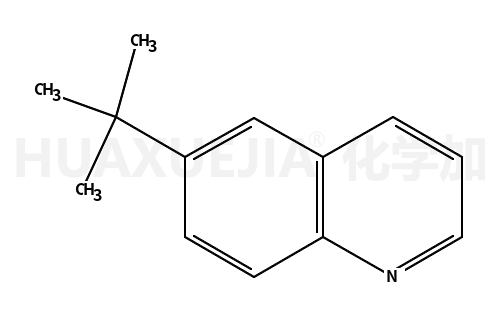 6-(1,1-二甲基乙基)喹啉