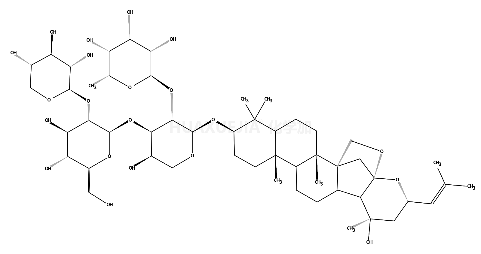 酸枣仁皂苷B1