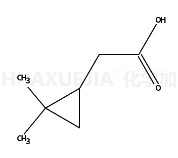 2-(2,2-dimethylcyclopropyl)acetic acid