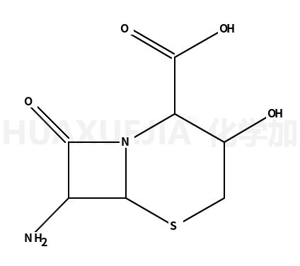 3-羥基頭孢