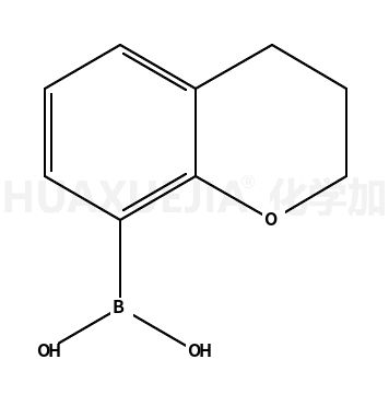 苯并二氫吡喃-8-硼酸