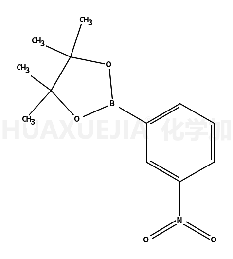 3-Nitrophenylboronic Acid Pinacol Ester