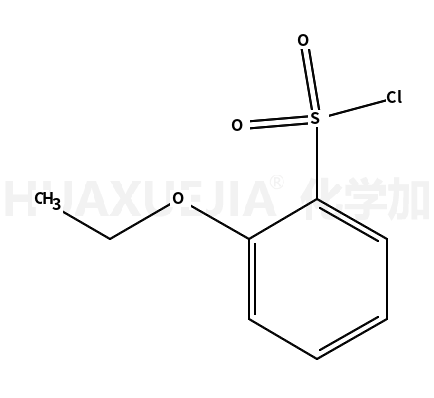 2-乙氧基-苯磺酰氯