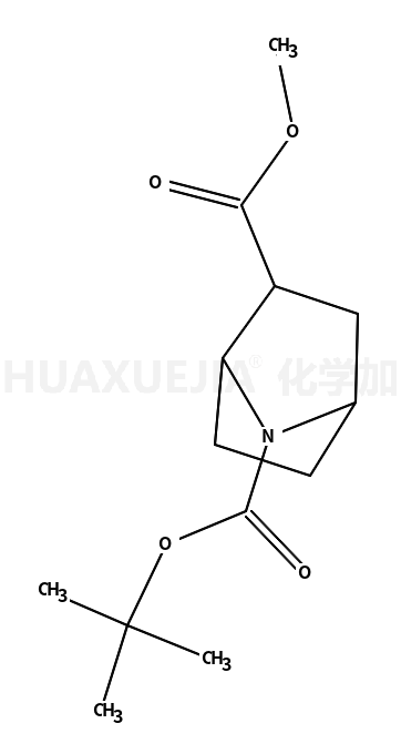 7-叔丁基2-甲基7-氮杂双环[2.2.1]庚烷-2,7-二羧酸
