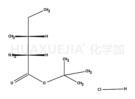 L-异亮氨酸叔丁酯盐酸盐