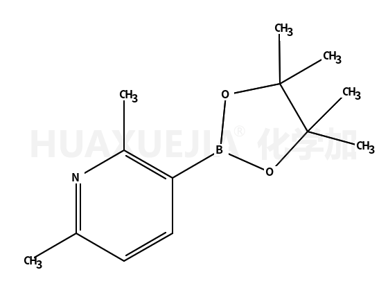 2,6-二甲基吡啶-3-硼酸频那醇酯