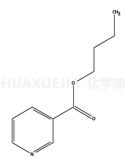 煙酸丁酯(3-吡啶甲酸丁酯)