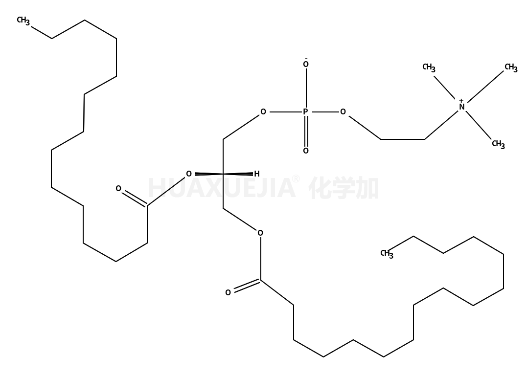 1-palmitoyl-2-myristoyl-sn-glycero-3-phosphocholine