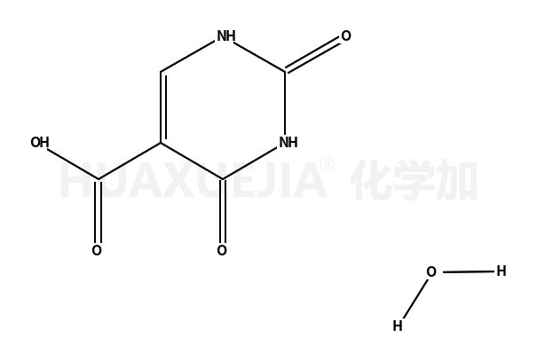 一水合尿嘧啶 -5-羧酸