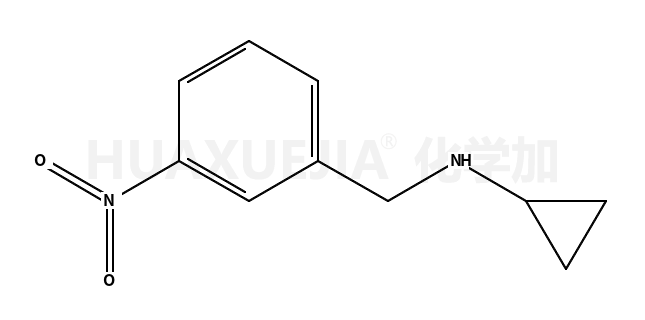 环丙基-(3-硝基-苄基)-胺