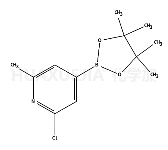 2-CHLORO-6-METHYLPYRIDINE-4-BORONIC ACID, PINACOL ESTER