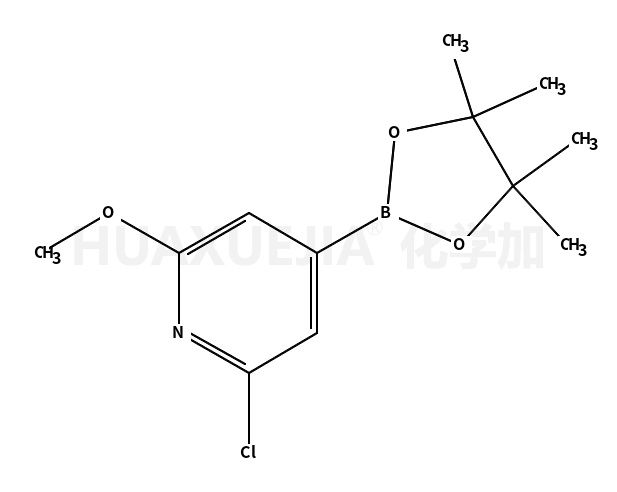 2-氯-6-甲氧基吡啶-4-硼酸频那醇酯