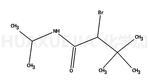 N1-异丙基-2-溴-3,3-二甲基丁胺